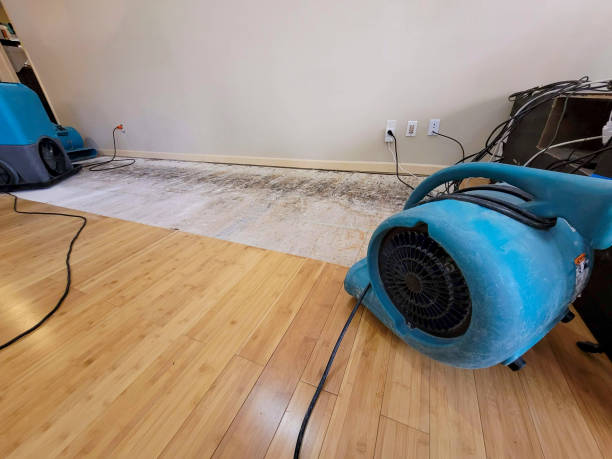 Professional Basement Flood Cleanup technician working in Metamora, MI